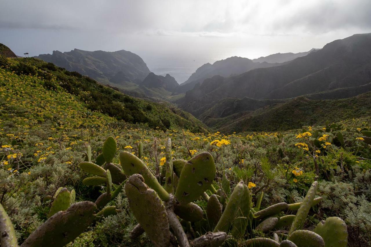 Casa El Molino - Parque Rural Protegido Teno Kültér fotó